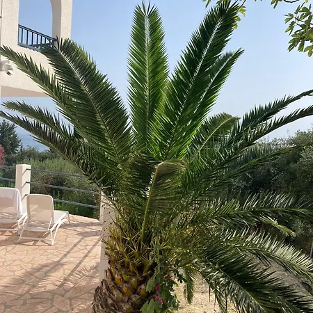 Ocean Breeze Terracce Appartement